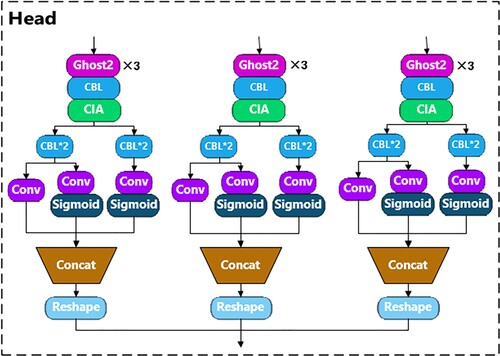 Figure 14. Head network structure embedded with CIA module.