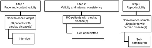 Fig. 1 Procedure and stages of the assessment of the validity and reproducibility of the Arabic version of the Brief Illness Perception Questionnaire.