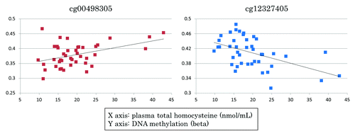 Figure 2. Two CpG sites in the SLC18A2 (cg00498305) and GNAL (cg12327405) genes, which have been implicated in SCZ. A significant positive correlation of plasma total homocysteine with DNA methylation was observed at cg00498305 located in the CGI shore in the promoter region of the SLC18A2 gene (p = 1.67E-03). A significant negative correlation of plasma total homocysteine with DNA methylation was observed at cg12327405 in the CGI in the promoter region of the GNAL gene (p = 2.85E-04). [X-axis: plasma total homocysteine (nmol/mL); Y-axis: DNA methylation (β)]