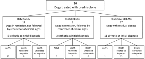 Figure 1. Follow-up of 36 dogs with chronic idiopathic hepatitis treated with prednisolone (1 mg/kg BW/day). Mean duration of prednisolone administration was 8.8 ± 5.4 weeks (mean ± SD).