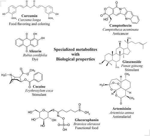 Figure 2. Structures of plant specialized metabolites that have varied biological properties.