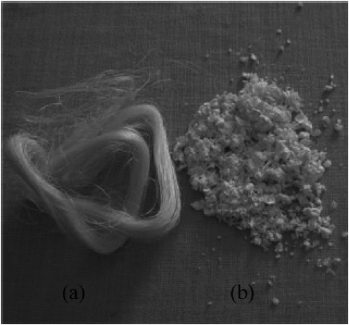 Figure 1. Technical (a) and ultimate (b) agave fibers.