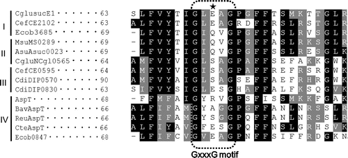 Fig. 1. Multiple sequence alignment of members of the AAEx family of transporters.