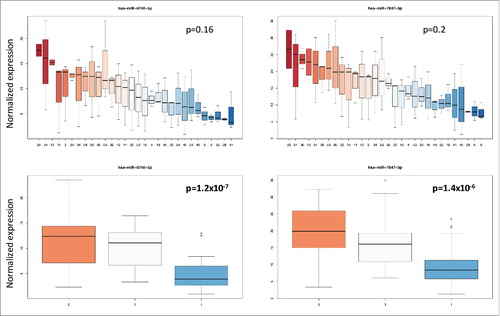 Figure 5. Box-plots for miR-6740–5p and miR-7847–3p showing the variance of both miRNAs between the 30 individuals and the 3 time points. The different individuals (upper part of the figure) and the different time points (lower part of the figure) are referred to by numbers on the X axis. The variation of intensity values is given on the y-axis. The variation of both miRNA was significant for the storage time but not significant between the individuals.
