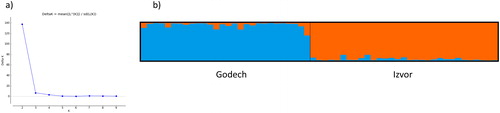 Figure 4. Genetic structure of two Hyssopus officinalis L. populations based on SRAP marker data. (a) Estimation of the most probable K using the delta K method by Evano et al. [Citation19]. (b) Bar plot representing the genetic structure at K = 2 for populations Godech and Izvor.