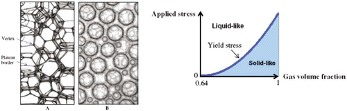 Figure 21 (A) Structure of dry; and (B) wet foams (on Left). Schematic diagram of the solid-like and liquid-like behaviors of foams (on right) (from[Citation64]).
