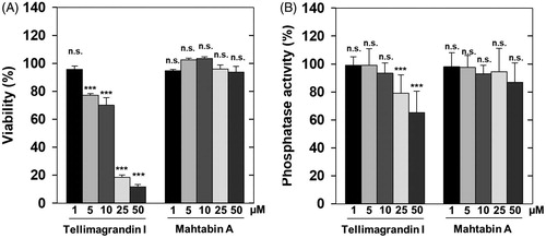 Figure 4. Distinct influence of ellagitannins on the survival and phosphatase activity of HeLa cells. The effect of tellimagrandin I and mahtabin A was assayed on the survival (A) and the phosphatase activity (B) of HeLa cells in 0–50 µM concentration range as detailed in Materials and methods. The cell survival and the phosphatase activity in the absence of ellagitannins were taken as 100%. Data represent means ± SD (n = 3). ANOVA *p < .05, **p < .01, ***p < .001, n.s.: not significant.