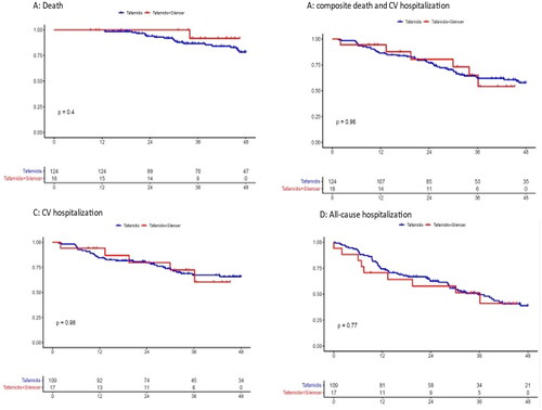 Figure 1. Kaplan Meier curve graphs showing A. all-cause mortality B. Composite death and CVRH C. CVRH free time in months D. All cause hospitalization free time in months. Patients receiving combination therapy (N = 18) were marked as red line and the total cohort of patients receiving tafamidis (N = 137) were marked as blue line, p value derived from log-rank test.