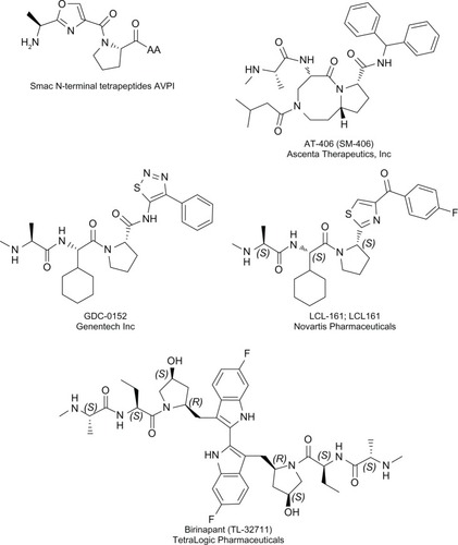 Figure 3 Structure of the Smac N-terminal tetrapeptide (AVPI) and SMs used in clinical trials.