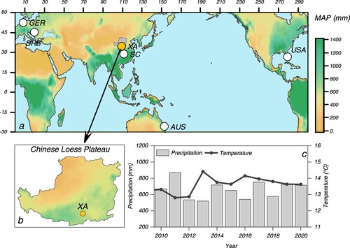 Figure 1. The location of the study area and the research sites from reported literature. (a) the sites location, XA: Xi’an, Chinese Loess Plateau, this study; AUS: Australia (Yao et al. Citation2019); GER: Germany (Spohn and Giani Citation2011); SC: South China, Hunan (Wang et al. Citation2007) and Guangxi (Wang and Wang Citation2007); SRB: Republic of Serbia (Šeremešić et al. Citation2013); USA: United States (Rodriguez et al. Citation2021). The map of mean annual precipitation (MAP) is from the data in https://psl.noaa.gov/. (b), the location of study site and Chinese Loess Plateau. (c), the mean annual temperature and annual precipitation of Xi’an, data are cited from http://data.cma.cn.