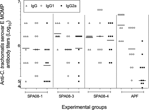 Figure 2. C trachomatis rMOMP serovar E-specific antibody titers determined by ELISA. Serum samples were drawn four weeks after the third vaccine dose from 10 mice. Each dot represents the results for one mouse and the horizontal lines represent the geometric mean titer (GMT) for the group of mice