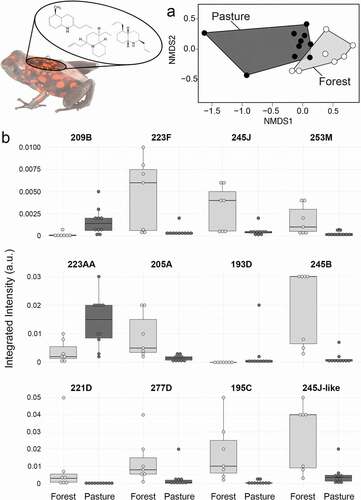 Figure 2. Diablito frog chemical defenses differ between forest and pasture habitats. (a) Non-metric multidimensional scaling (NMDS) biplots based on Bray-Curtis dissimilarities show clustering of alkaloid profiles between forest (light grey) and pasture (dark gray) (Stress = 0.097). (b) Boxplots show alkaloids that are significantly different in frogs from forest and pasture habitats. Boxplots show the median, first and third quartiles, whiskers (±1.5 interquartile range) and data points (dots).