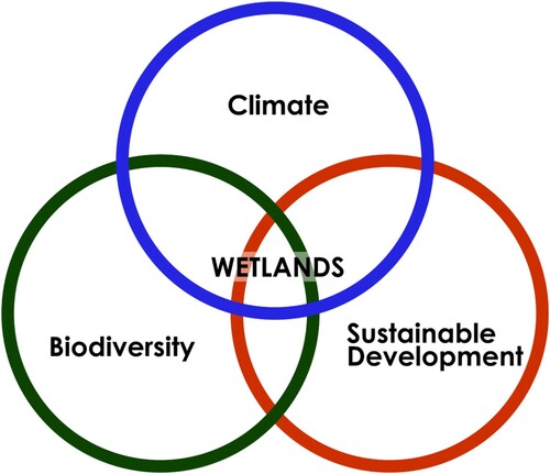 Figure 1. The Ramsar Convention on Wetlands (Citation2021) views wetlands as centrally important to the provision and sustainability of a wide array of ecosystem services and these same services are commonly discussed with respect to historically drained wetlands. Image adapted from Convention on Wetlands (Citation2021, 5).