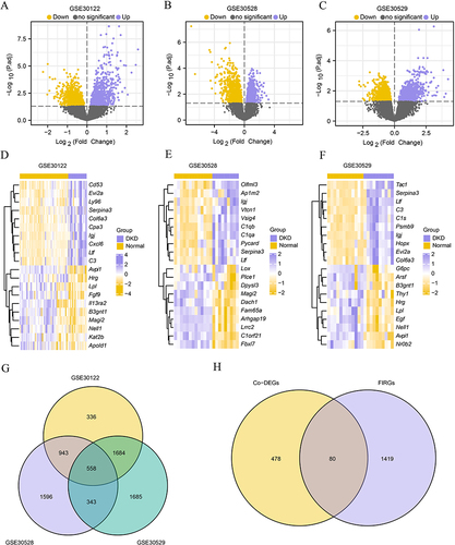 Figure 2 Differential gene analysis of diabetic kidney diseases databases. (A) The volcano map of GSE30122. (B) The volcano map of GSE30528. (C) The volcano map of GSE30529. (D) The heatmap of GSE30122. (E) The heatmap of GSE30528. (F) The heatmap of GSE30529. (G) Venn diagram of the Co-DEGs in GSE30122, GSE30528 and GSE30529. (H) Venn diagram of Co-DEGs and FIRGs.