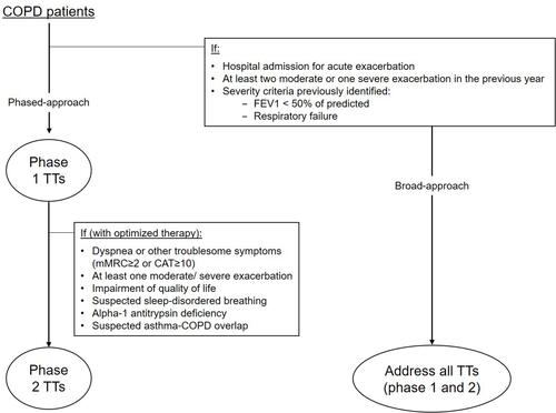 Figure 2 Algorithm for COPD management based on the treatable traits strategy.