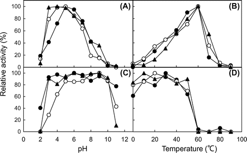 Fig. 4. Effect of pH and temperature on the chitinase activity.