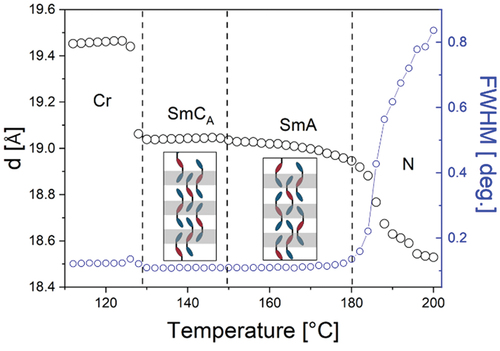 Figure 6. (Colour online) The layer spacing in the smectic phases and local periodicity detected in the nematic phase of trimer 3, with sketches showing the packing of trimers in the SmCA and SmA phases.