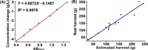 Figure 2. Relationships between: (A) concentration change and AB560nm; (B) real harvest and estimated harvest.