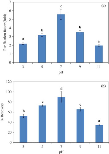 Figure 1. Effect of system pH on the purification factor (a) and proteinase recovery (b) of liver proteinase partitioning in 25% PEG1000-20% NaH2PO4 ATPS. Bars represented the standard deviation from triplicate determinations. Different letters within the same parameter indicate the significant differences (P<0.05).
