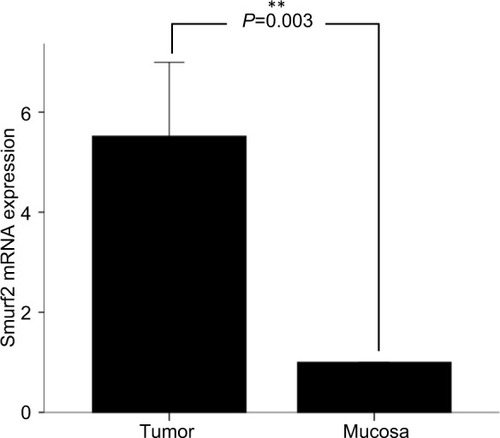 Figure 1 Transcript expression levels of Smurf2 in colorectal cancer tissue and corresponding healthy mucosa (n=98).Notes: Smurf2 was significantly overexpressed in colorectal cancer specimens compared to corresponding healthy mucosa. Bars represent mean + SEM. **P=0.003.Abbreviation: SEM, standard error of the mean.