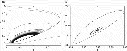 Figure 3. Simulation of the predator–prey model (Equation40(40) x˙=xAyE3+y−x,y˙=y1−B2xE2+y−y,(40) ) for E2=0.01839684, E3=0.73192174, A=4.19123136,B2=0.20423339, showing the existence of three limit cycles enclosing the equilibrium (x2,y2)=(0.63214554,0.12999997): (a) trajectories converging to the outer limit cycle; and (b) three limit cycles, enclosing an unstable equilibrium, with the outer and the inner stable (solid curve) and the middle one unstable (dotted curve).