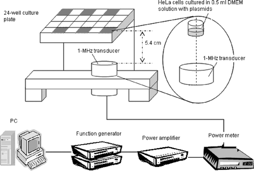 Figure 1. Schematic of the experimental setup. HeLa cells were seeded at a concentration of 3.5 × 104 cells/well in the six wells of a 24-well plate shown in gray.