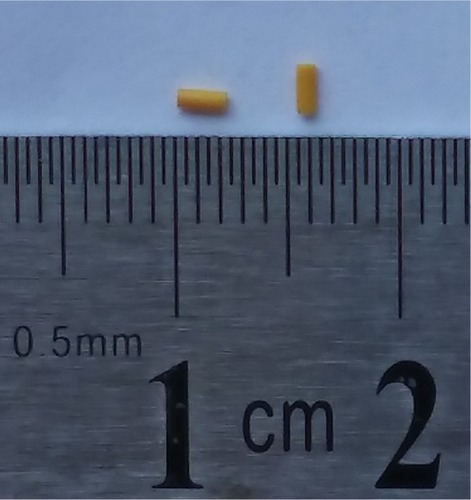 Figure 1 Macroscopic picture of MTX-loaded implants.