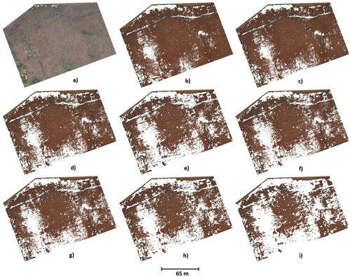 Figure 11. Site 1 “young forest” – terrain clouds acquired using: a) LiDAR-UAV; b) DAP-UAV (high quality, depth filtering disabled); c) DAP-UAV (high quality, mild depth filtering); d) DAP-UAV – (high quality, moderate depth filtering); e) DAP-UAV (high quality, aggressive depth filtering) f) DAP-UAV (medium quality, depth filtering disabled); g) DAP-UAV (medium quality, mild depth filtering); h) DAP-UAV (medium quality, moderate depth filtering); i) DAP-UAV (medium quality, aggressive depth filtering).