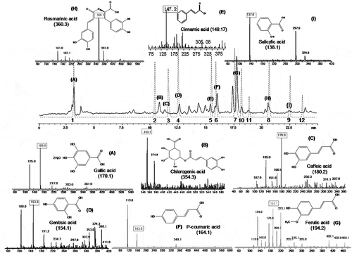 Figure 1. HPLC-MS spectrogram of phenolics extracted from lotus seeds.Solid line: fresh lotus seeds extract. (A) Gallic acid; (B) Chlorogenic acid; (C) Caffeic acid; (D) Gentisic acid; (E) Cinnamic acid; (F) P-coumaric acid; (G) Ferulic acid; (H) Rosmarinic acid; (I) Salicylic acidDashed lines: standard reference substances. 1 Gallic acid; 2 Chlorogenic acid; 3 Caffeic acid; 4 Gentisic acid; 5 Cinnamic acid; 6 P- coumaric acid; 7 Ferulic acid; 8 Rosmarinic acid; 9 Salicylic acid; 10 Naringin; 11 Nuciferine; 12 Phloridzin