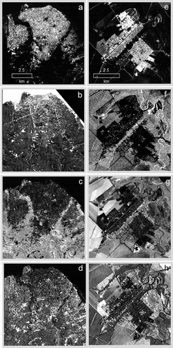 Figure 3. Four fraction images – high albedo, low-albedo, green vegetation, and soil in Santarém – a, b, c, d and in Lucas – e, f, g, h, which were developed from Landsat TM images with the spectral mixture analysis approach.