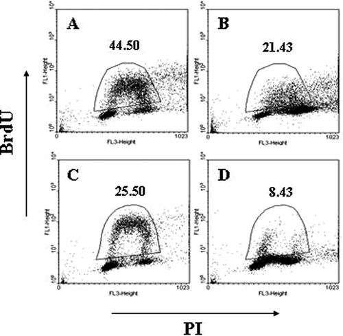 Figure 2. Flow cytometric analysis of BrdU incorporation by WT (a, b) or p65−/− (c, d) MEFs that were not treated (a, c) or heat shocked and tested 24 h later (b, d). The gated cells represent the percentage of WT or p65−/− MEFs in the S-phase of the cell cycle (1 representative out of 4 experiments).