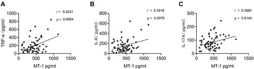Figure 6 Correlation of serum MT-1 and pro-inflammatory cytokines in AS patients. Serum MT-1 levels were positively associated with TNF-α (A), IL-1β (B) and IL-6 (C). Each symbol represents an individual gout patient. Spearman correlation analysis was used to calculate significance. P < 0.05 represents a significant difference.