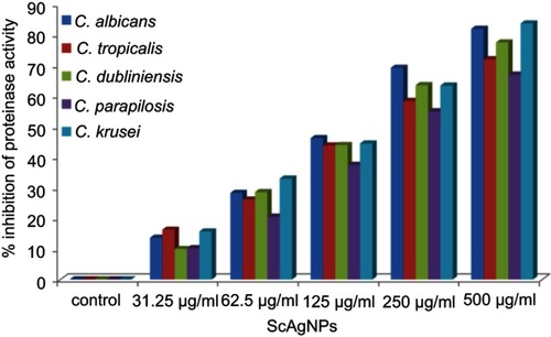 Figure 7 Effects of different concentration of ScAgNPs on production of extracellular secreted aspartyl proteinases.Abbreviation: ScAgNPs, Syzygium cumini silver nanoparticles.