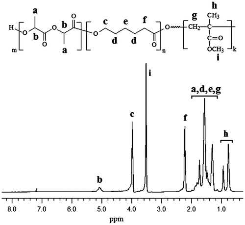 Figure 5. 1H NMR spectrum of PCL-PDLLA-PMMA triblock terpolymer in CDCl3.