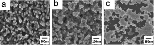 Figure 4. Scanning electron microscopy (SEM) images of electrochemically roughened Au films held at 1.2 V in 0.1 M KCl for different numbers of cycles: (a) 3 cycles, (b) 5 cycles and (c) 12 cycles. Adapted from Ref. [Citation54] with permission. Copyright 2020 Elsevier.
