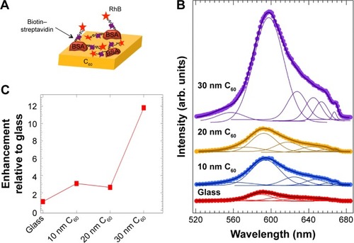 Figure 5 (A) A schematic showing the model biotin–streptavidin assay on pure C60 layers of varying thickness. The biotin–streptavidin is flexible to allow the direct interaction between rhodamine B (RhB) attached to streptavidin with the underlying C60 layers. (B) The emission spectrum of the biotin–streptavidin–RhB complex on C60 layers with varying thickness displays a clear enhancement (shown in (C)) due to the chemical interactions between C60 and RhB. The solid lines in (B) show the fits to the spectra along with the deconvoluted peaks under each spectrum.