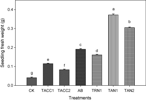 Figure 11. Comparative effectiveness of ACC-deaminase and/or nitrogen-fixing rhizobacteria on seedling fresh weight (root + shoot) of tomato. Different letters (a–g) on bars indicate significant differences of mean values for seedling fresh weight. Bars represent standard errors.CK, control; AB, Azotobacter