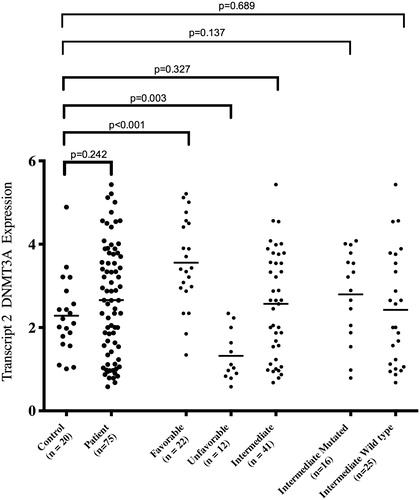 Figure 2. Comparing DNMT3A transcript 2 expression level between total patients, three cytogenetic risk subgroups, intermediate-mutant, intermediate-wild type, and normal control, from left to the right, respectively. It is worth mentioning that normal control RNA was extracted from peripheral blood.