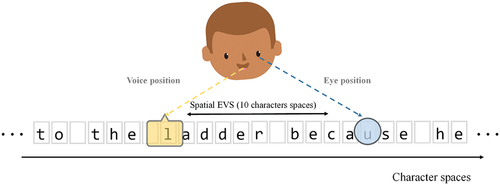 Figure 1. An illustration of the spatial EVS of the target word “ladder”.