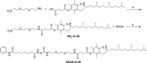 Scheme S1 Synthesis of SAHA-O-VE. Reagents: (a) CDI, CH2Cl2; (b) CDI, THF.Abbreviations: CDI, N,N′-carbonyldiimidazole; THF, tetrahydrofuran.