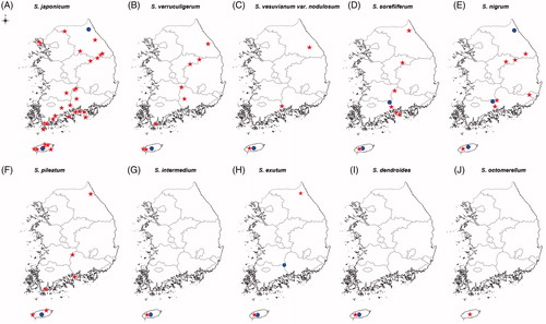 Figure 2. Distribution of Stereocaulon species in South Korea. Circle indicates Stereocaulon species that was also found in a previous study. Stars indicates samples collected in this study. (A) S. japonicum; (B) S. verruculigerum; (C) S. vesuvianum var. nodulosum; (D) S. sorediiferum; (E) S. nigrum; (F) S. pileatum; (G) S. intermedium; (H) S. exutum; (I) S. dendroides; (J) S. octomerellum.