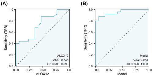Figure 6. ROC curve analysis to determining diagnostic value. Area under the ROC curve (95% confidence interval (CI)) for the presence of the AUC for macroalbuminuria.