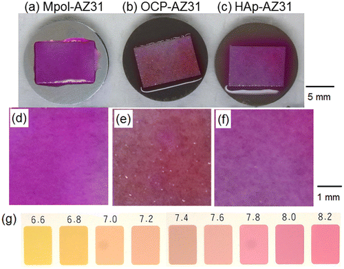 Figure 10. Optical images of the entire area of (a) Mpol-, (b) OCP- and (c) HAp-AZ31 disks, on which a piece of wet pH paper was placed for 30 min. Magnified optical images of pH paper placed on (d) Mpol-, (e) OCP- and (f) HAp-AZ31. (g) Color samples at various pH values.