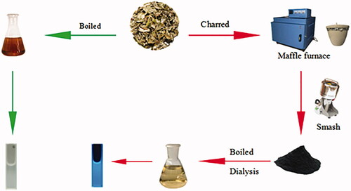 Figure 1. Flow diagram of the preparation process of Artemisiae Argyi Folium (AAF) extract and Artemisiae Argyi Folium Carbonisata carbon dots (AAFC-CDs).