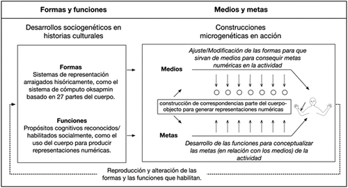 Figura 2. Relaciones entre forma y función (desarrollos sociogenéticos en las historias culturales) y metas y medios (construcciones microgenéticas en acción).