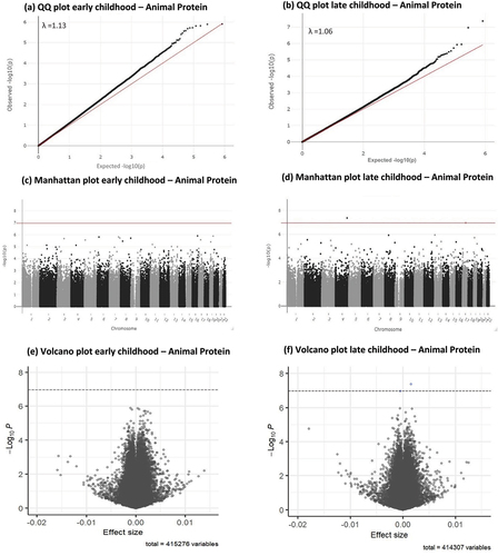 Figure 1. Q-Q, Manhattan and volcano plots for associations between infant animal protein intake (E%) and early and late childhood DNA methylation. Significance line in Manhattan and volcano plots is set to represent the Bonferroni-corrected p-value threshold of P < 1.1 × 10¯7.