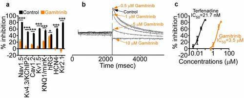 Figure 1. Ion channel activity. (a) Gamitrinib (10 µM) or relevant control was incubated with the individual channel-containing samples and the % inhibition of conductance compared to control was quantified. Mean ± SD. *, p = .02; ***, p < .0001. (b) Recording of hERG currents in the presence of control or the indicated increasing concentrations of Gamitrinib. Representative experiment. (c) HEK293 cells were transfected with hERG and analyzed for inhibition of hERG currents in the presence of increasing concentrations of Gamitrinib or control terfenadine. The IC50 values for each compound tested are indicated.