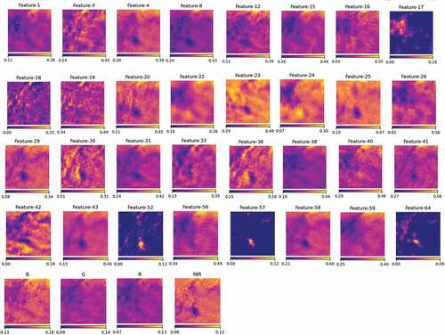 Figure 5. Examples of the encoded features for a patch from Pinkegat, derived from the Sentinel-2 image captured on 17 November 2017 2018. The feature numbers are specified in each feature image.