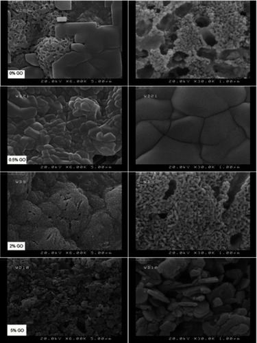 Figure 8 FESEM pictures of 0%, 0.5%, 2% and 5% cements after soaking for 14 days.Abbreviation: FESEM, Emission scanning electron microscopy.