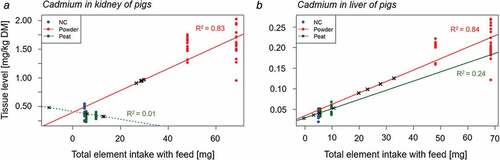 Figure 2. Regression analysis using cadmium levels in kidney (a) and liver (b) of pigs in negative control (NC) and positive control groups for peat (Peat [PC10, PC20]) and disinfectant powder (Powder [PC3, PC5]); × - estimated intake levels based on regression equations from voluntary material consumption by individual pigs in the treatment groups (TPeat and TPow); R2 adjusted.